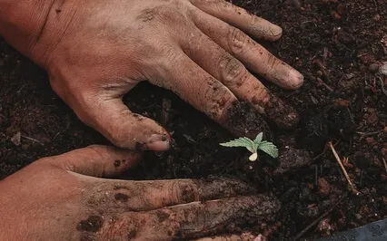 "The Prophet" By Khalil Gibran: On Work