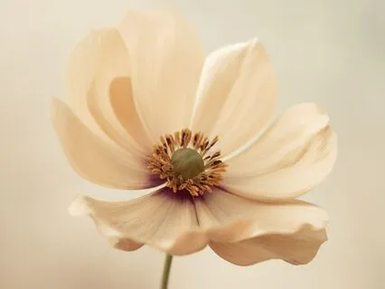 The Protected Reset: Transition From Work To Self