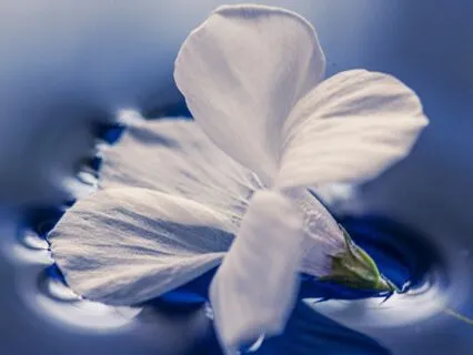 The Psychological Fact That Took A Load Off My Mind