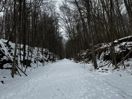 The Quantum Gateway: Expanding Into Super Conciousness