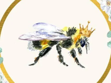 The Queen Bee: A Classic Brothers Grimm Bedtime Story