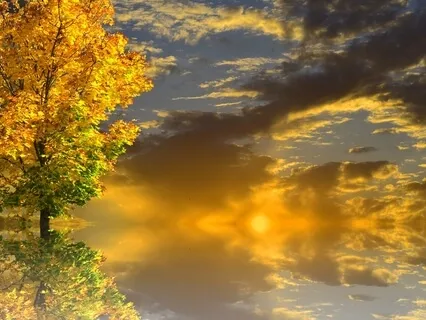 The Queen Of Autumn - Soothing Cosmic Harp