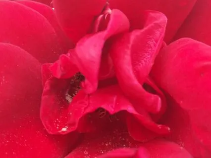 The Quickening And The Quieting