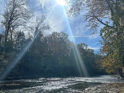 The Quiet Abundance Already Here