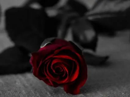 The Quiet Before Dawn – A Mindful Transition From Sleep