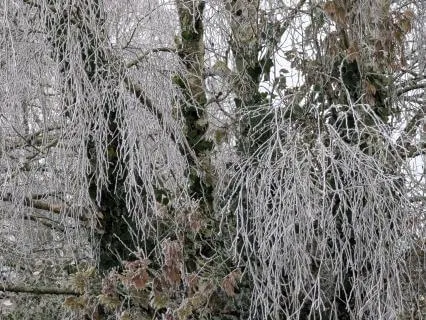 The Quiet Between Thoughts (432Hz)