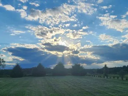 The Quiet Center: A 5-Minute Transitional Reset