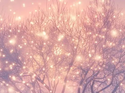 The Quiet Enchantment That Lives Within And Around Us