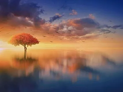 The Quiet Forest: A Self-Love Meditation