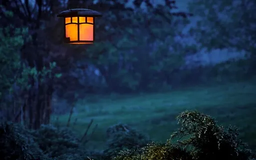 The Quiet Of Night 