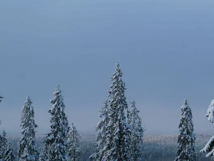 The Quiet Pause: 10-Minute Peaceful Reset