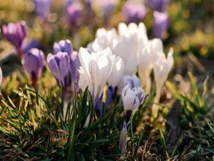 The Quiet Power Of Eldership - Feb 26