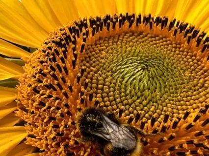 The Quiet Power Of Resilience - July 06