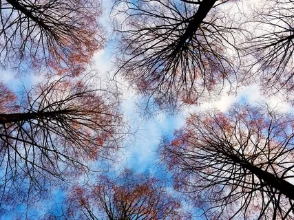 The Quiet Storm - Nature's Perfect White Noise