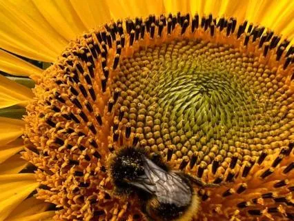 The Quiet Strength Of Resilience - July 10