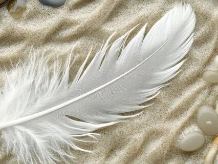 The Quiet Yes: A Poem For Santosha (Contentment)