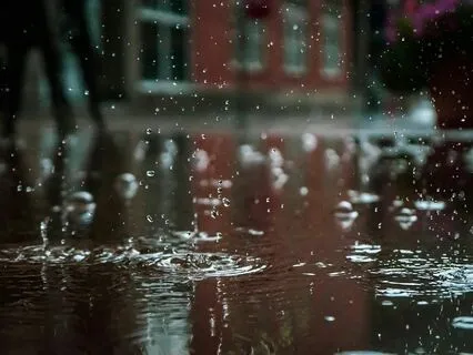 The Quietude Of Rain