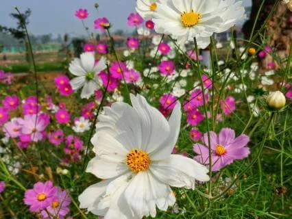 The Radical Power Of Self-Kindness