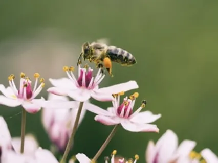 The Radical Respect That Heals