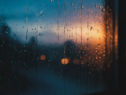 The Rain And The Window: A Dharma Talk On Right Mindfulness