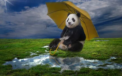 The Rain Dancers (1 Hour Relaxation Instrumental)