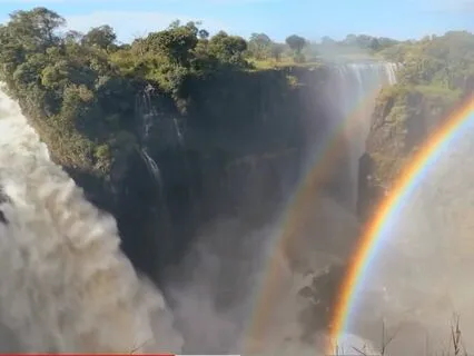 The Rainbow Bridge For All