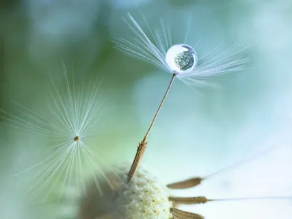 The Real Safety - Your Divine Connection