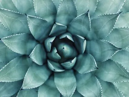 The Real You - Self-Enquiry Meditation