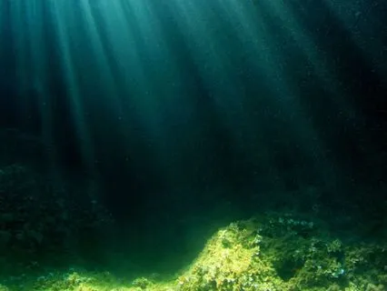 The Reality Shifting Teddy Bear: Bedtime Tale