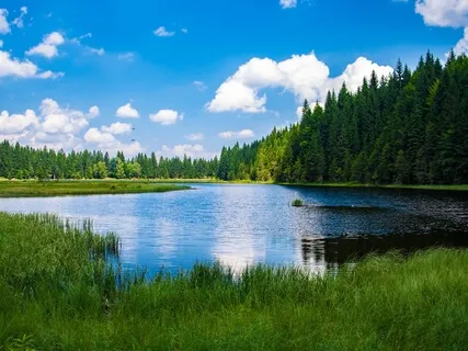 The Reflection In Your Eyes