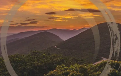 The Regulating Breath | Relaxing Breathwork