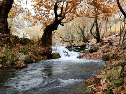 The Relaxation Creek 