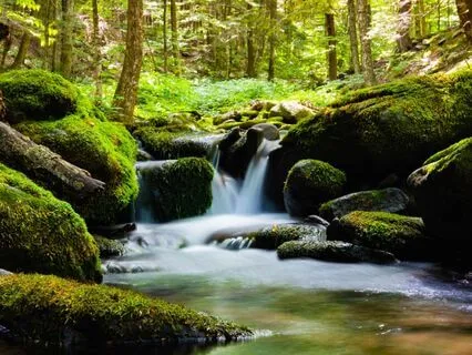 The Relaxation You Need