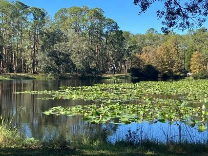 The Religion Of Love