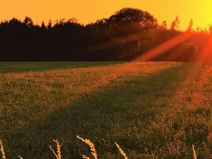 The Replenishing Field