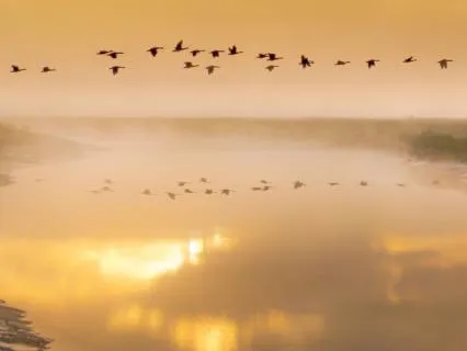 The Resource Of You: 9-Hour Abundance Sleep Journey