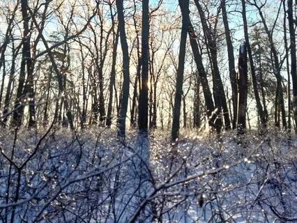 The Resources And Beauty Within