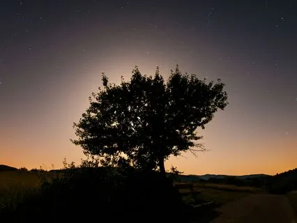 The Rest Nest - Fall Asleep Smoothly