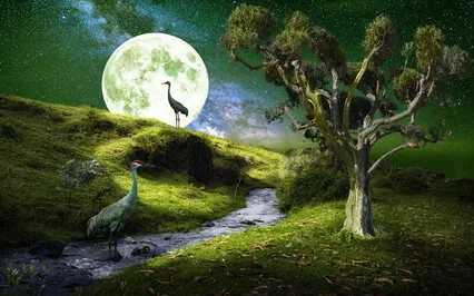 The Restful Moon (1 Hour Instrumental)