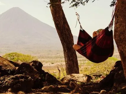 The Resting Tree! Messages From Your Soul!