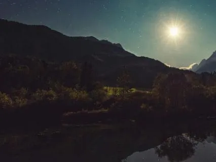 The Return To Whole: A 90-Minute Healing Journey