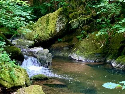 The Returning To Still Water Meditation
