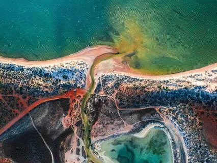 The Riparian - A Poem & Inquiry For Sitting With The Unknown