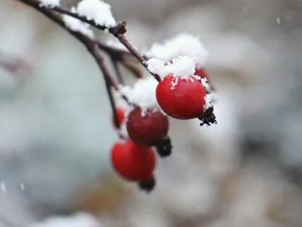 The Ripples Of Love - Jan 26