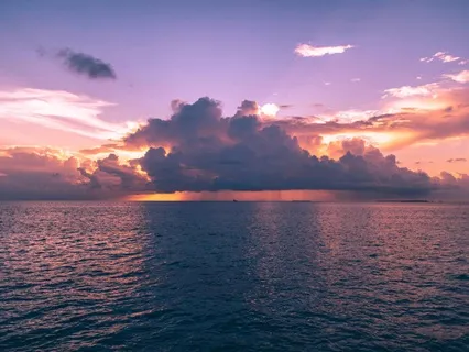 The Rising Within: Exploring Resilience, Strength & Growth.