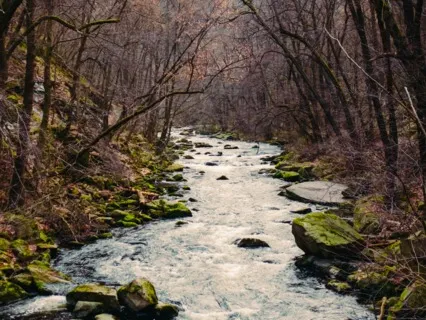 The River -  A Poem From Thich Nhat Hanh
