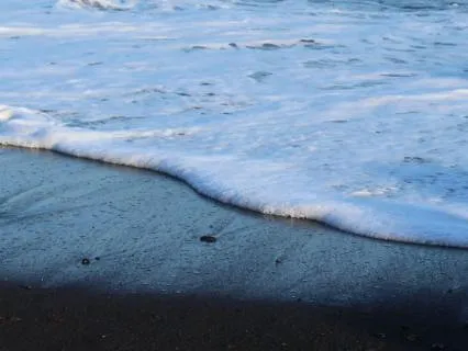 The River Cannot Go Back