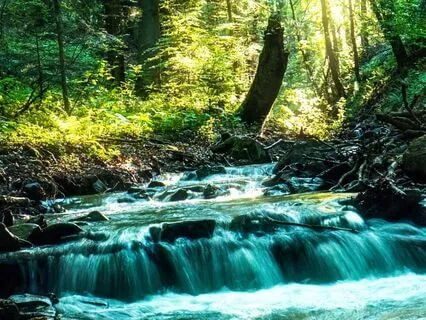 The River: Chap 11 - Millerton | Story & Reflection