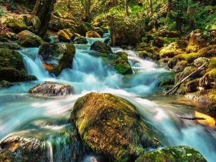 The River: Chap 12 - Bantam Bridge | Story & Reflection