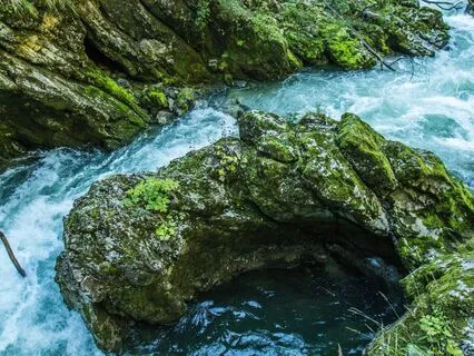 The River: Chap 3 - Ebbanflo | Story & Reflection